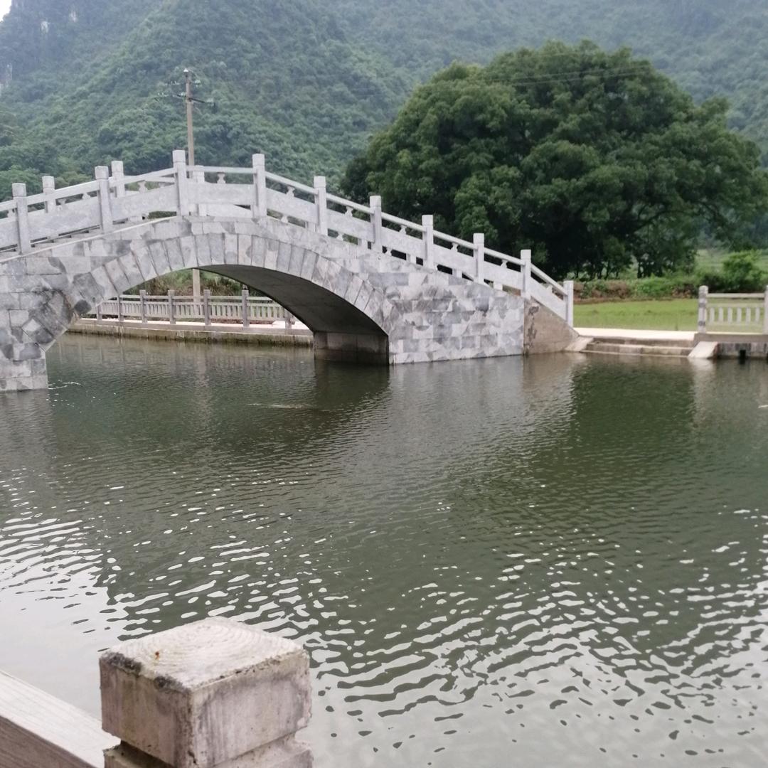 相遇网络