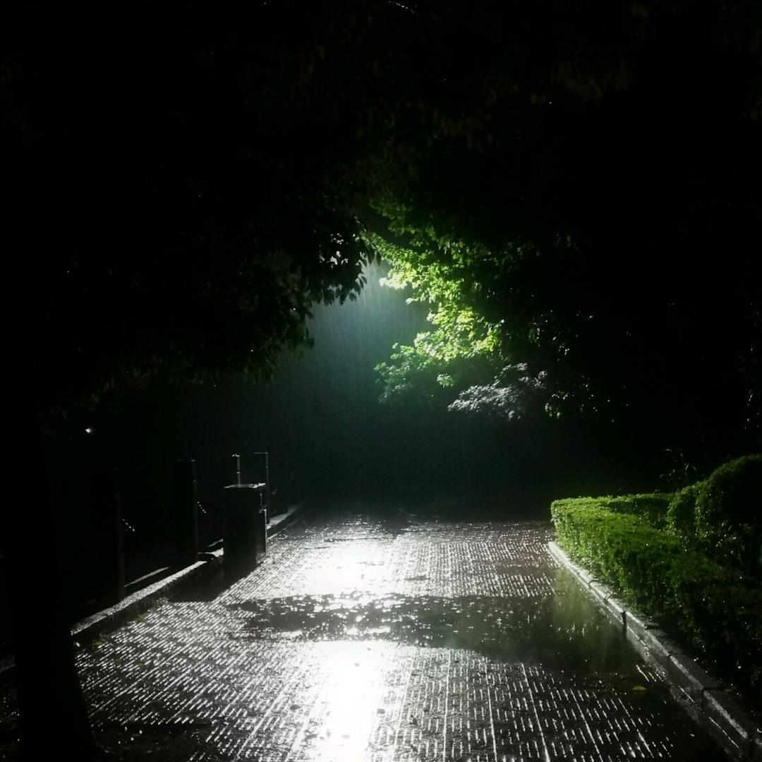 老陈说梦话