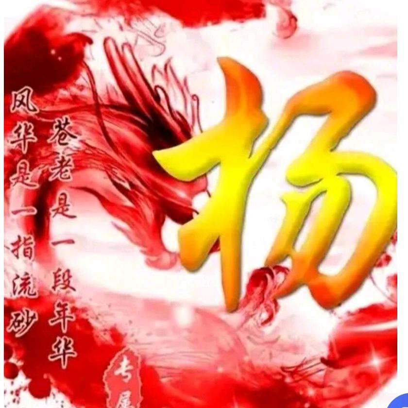 老阳
