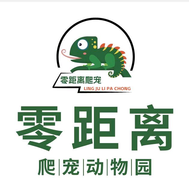 零距离爬宠动物园