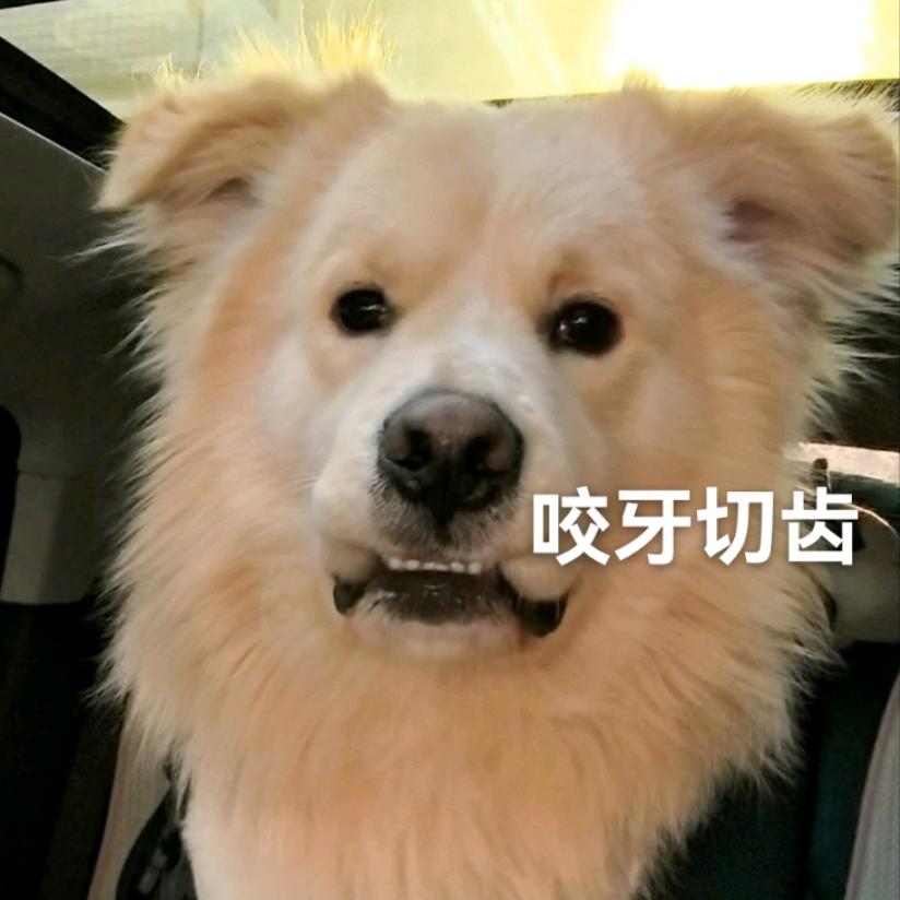 万万真没想到
