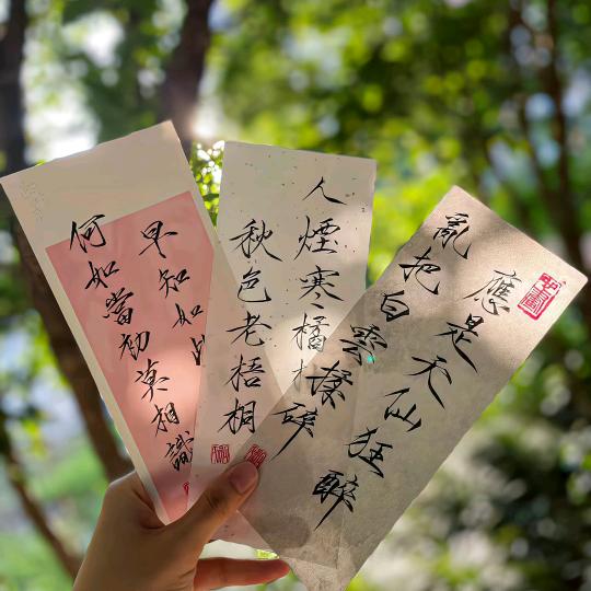 @一只小锦李🐟