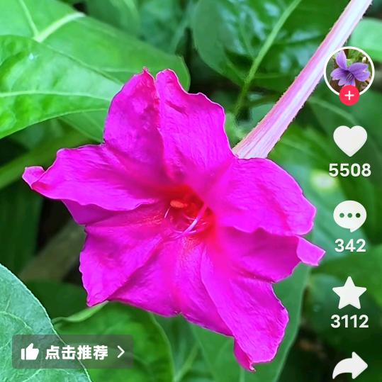 chunyu8024089