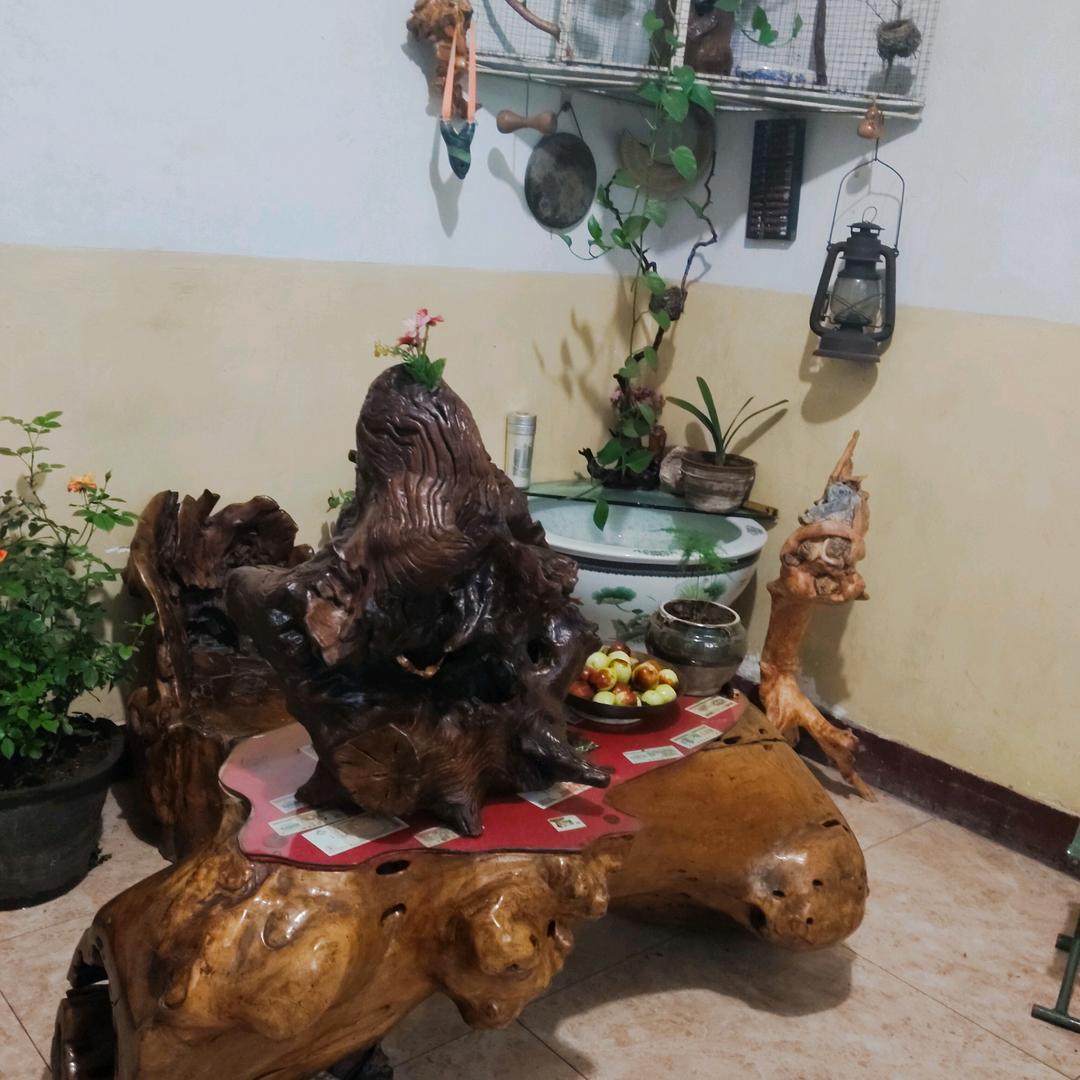 锦屏山庄，根艺，黑猪，