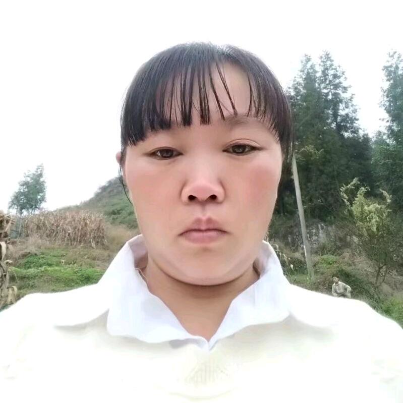 受伤的玫瑰