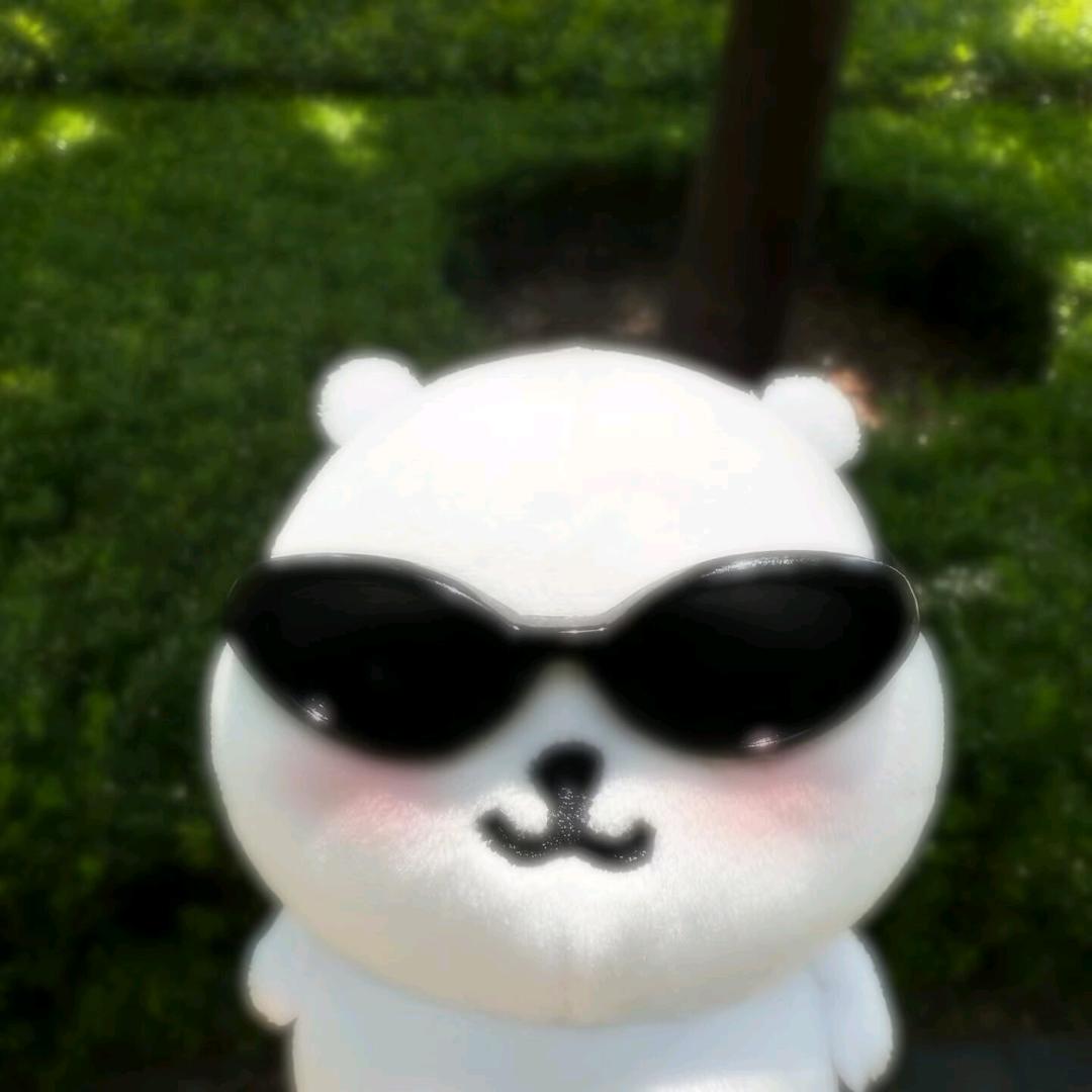 青云之志入梦来