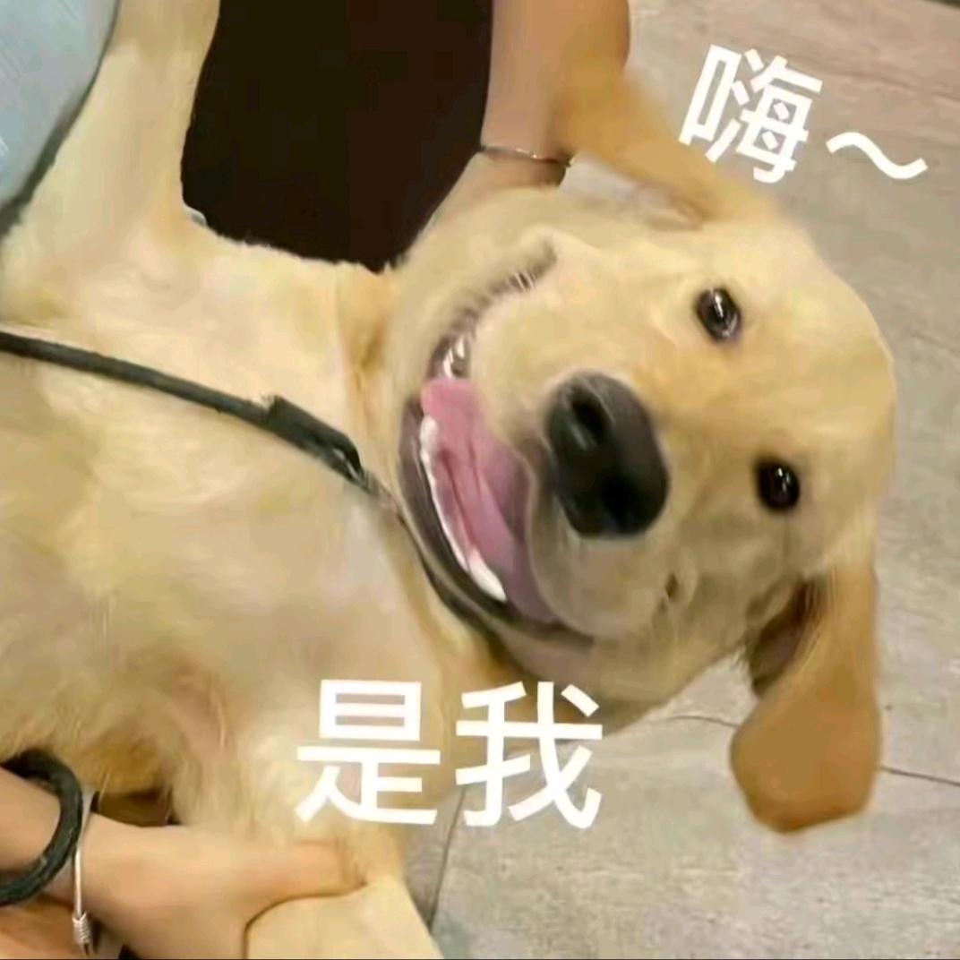 送成狗子