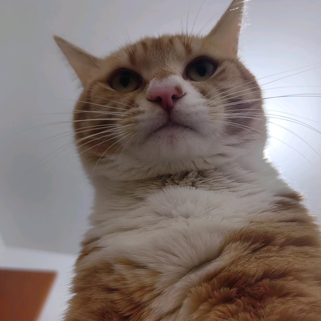 重生之我在我爱我家健身又卖房