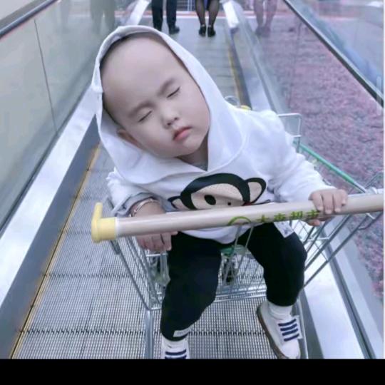 羽宸