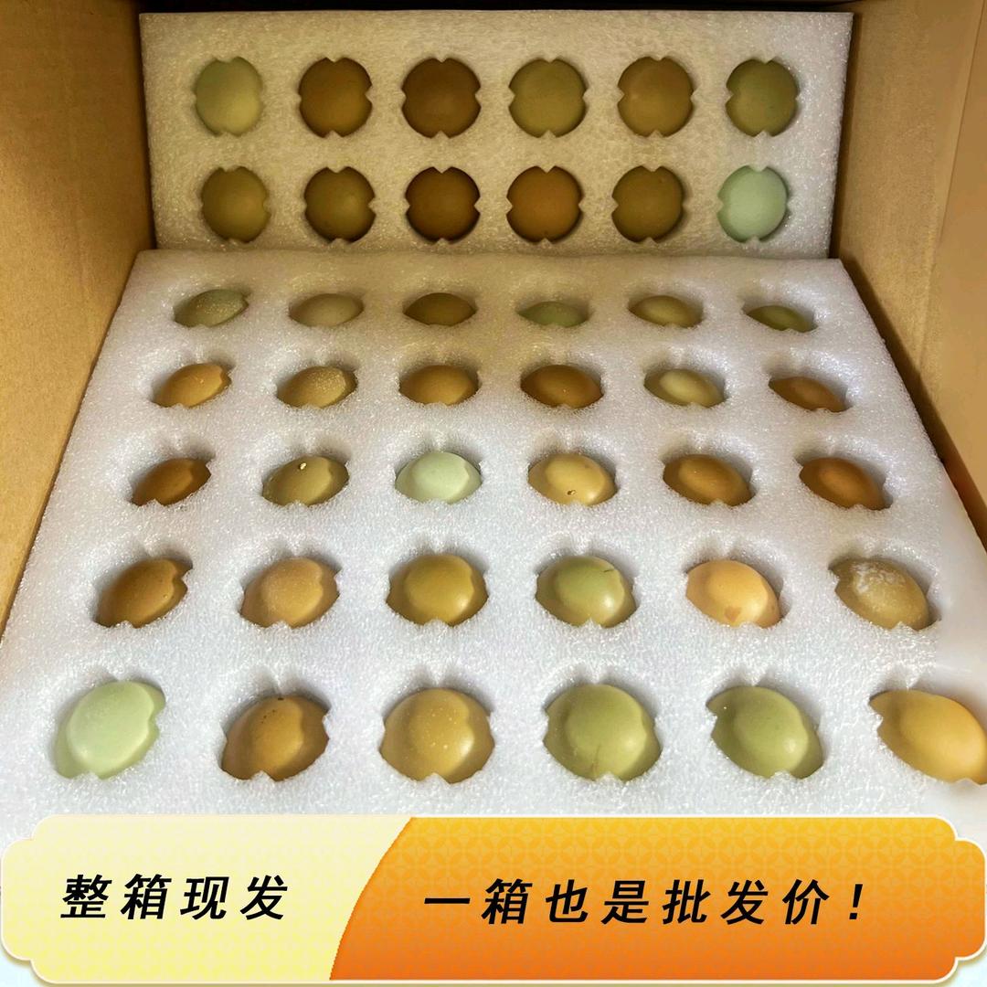 @抖音养鸡人