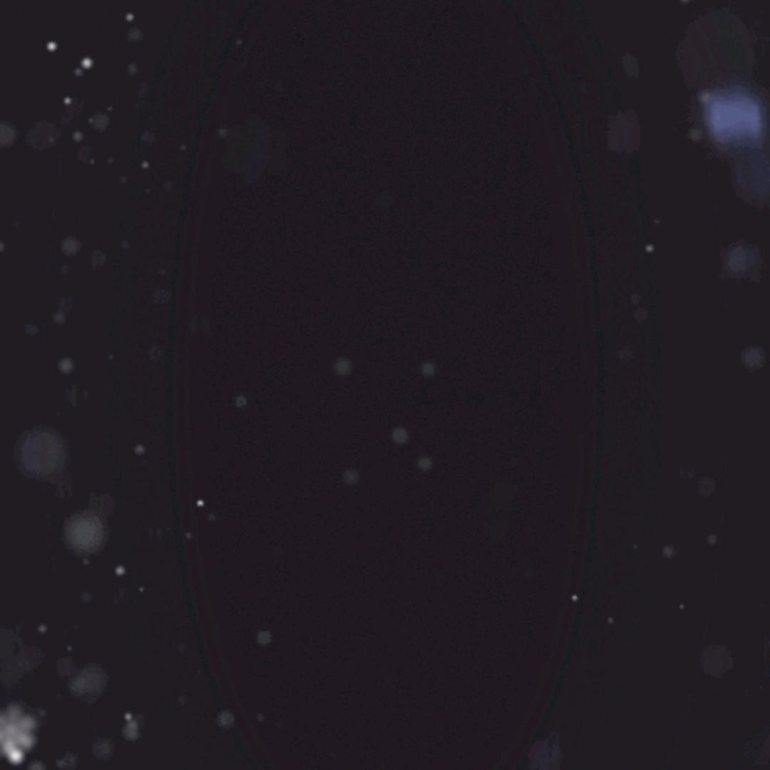 K7
