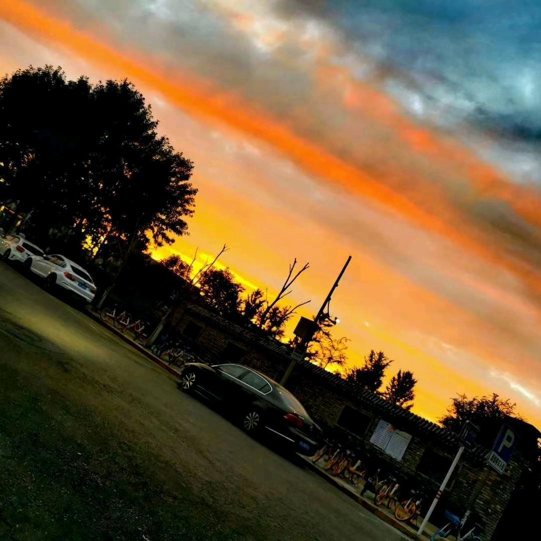 春风十里不如李