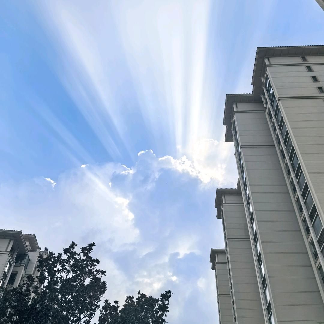 凡晨世界