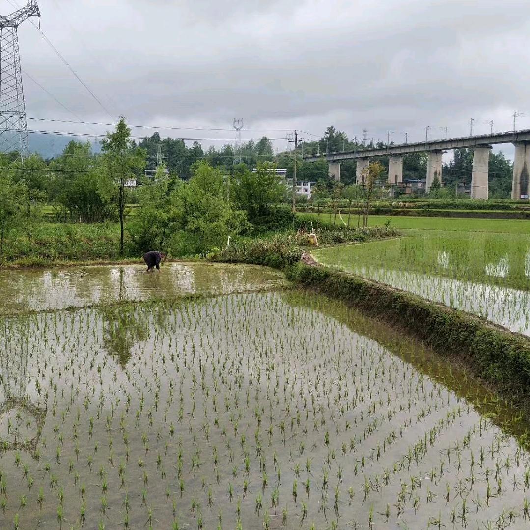 邻水之窗