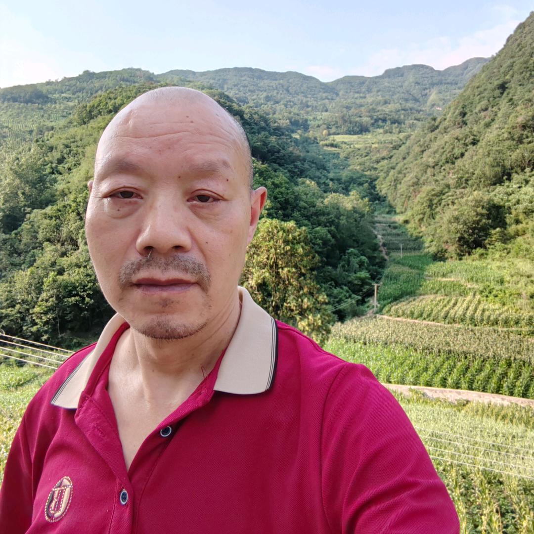 老湛乡村生活