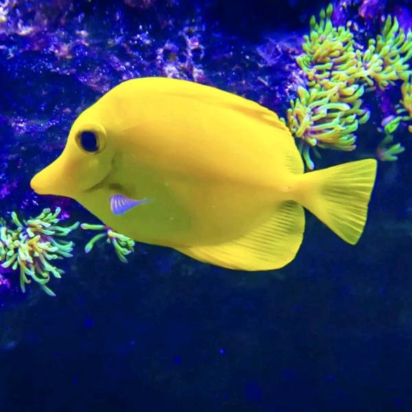 鱼🐠你🐠有🐠缘🐠