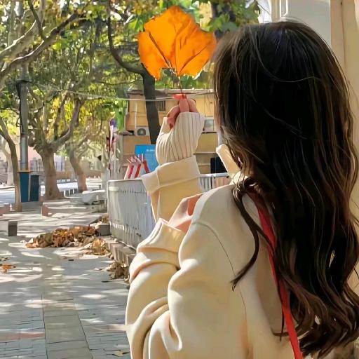 小Z同学🍁