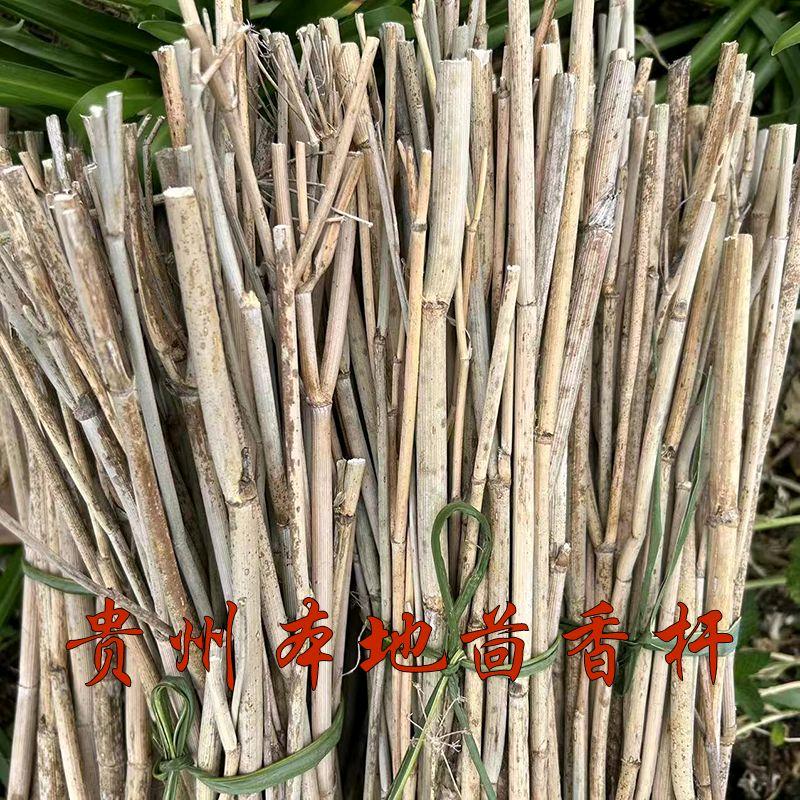 一家人