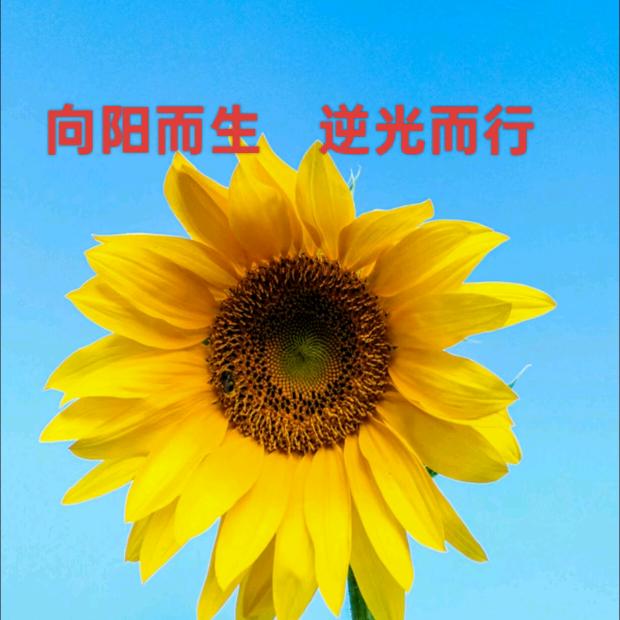 阳光明媚的每一天
