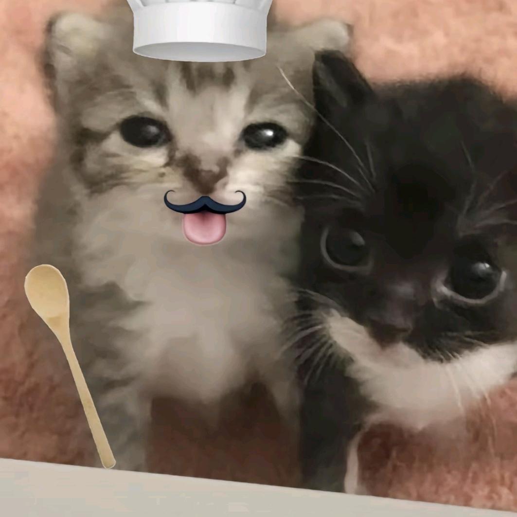 百分之^