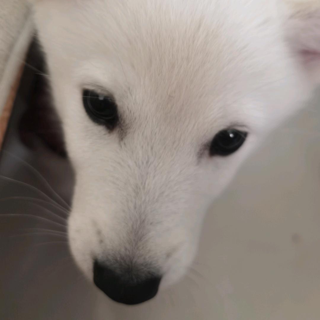 秋水广场