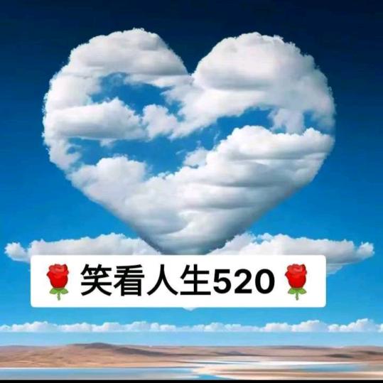 🌹武都的🌹520🌹
