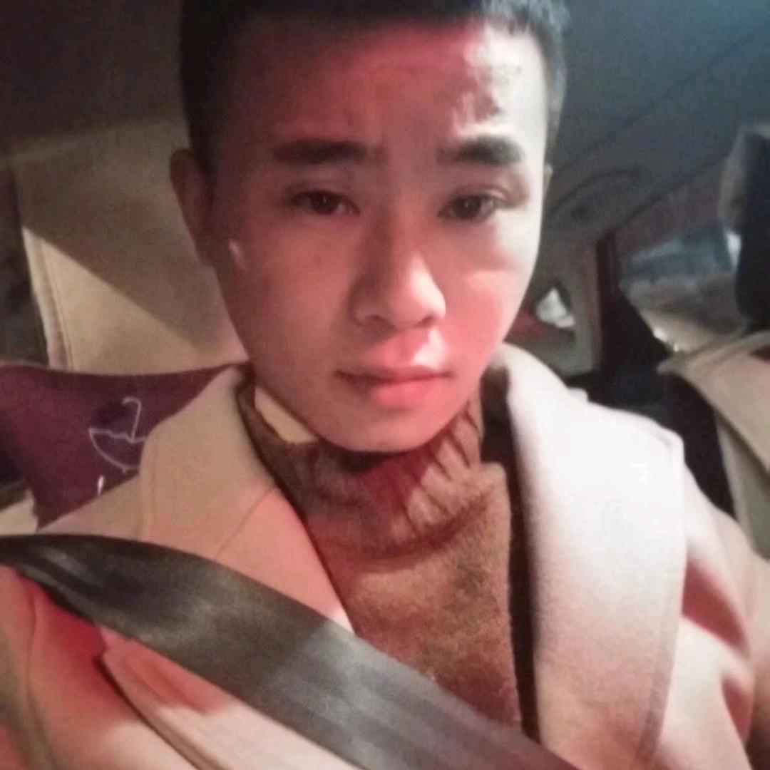 鱼摆摆