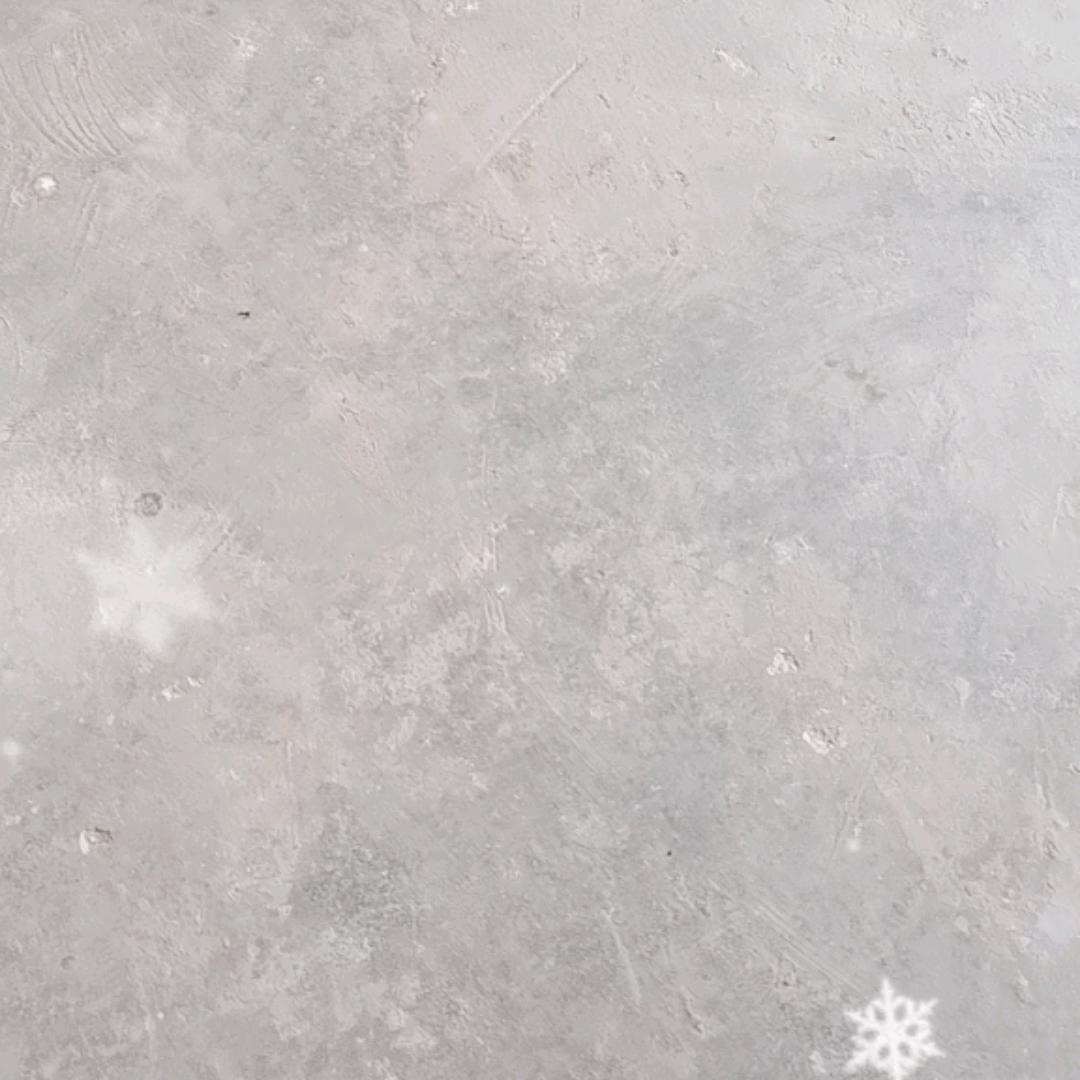 广州语龙物业花花直播号
