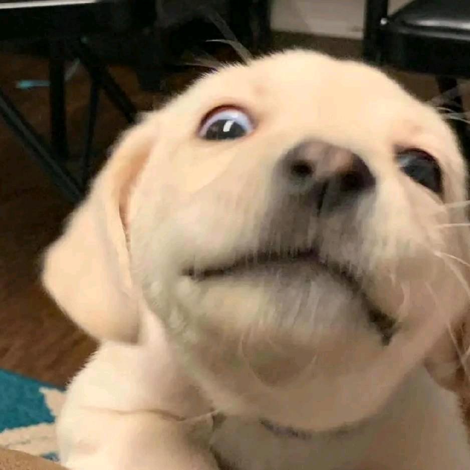 ღ᭄归零 ꦿོ࿐