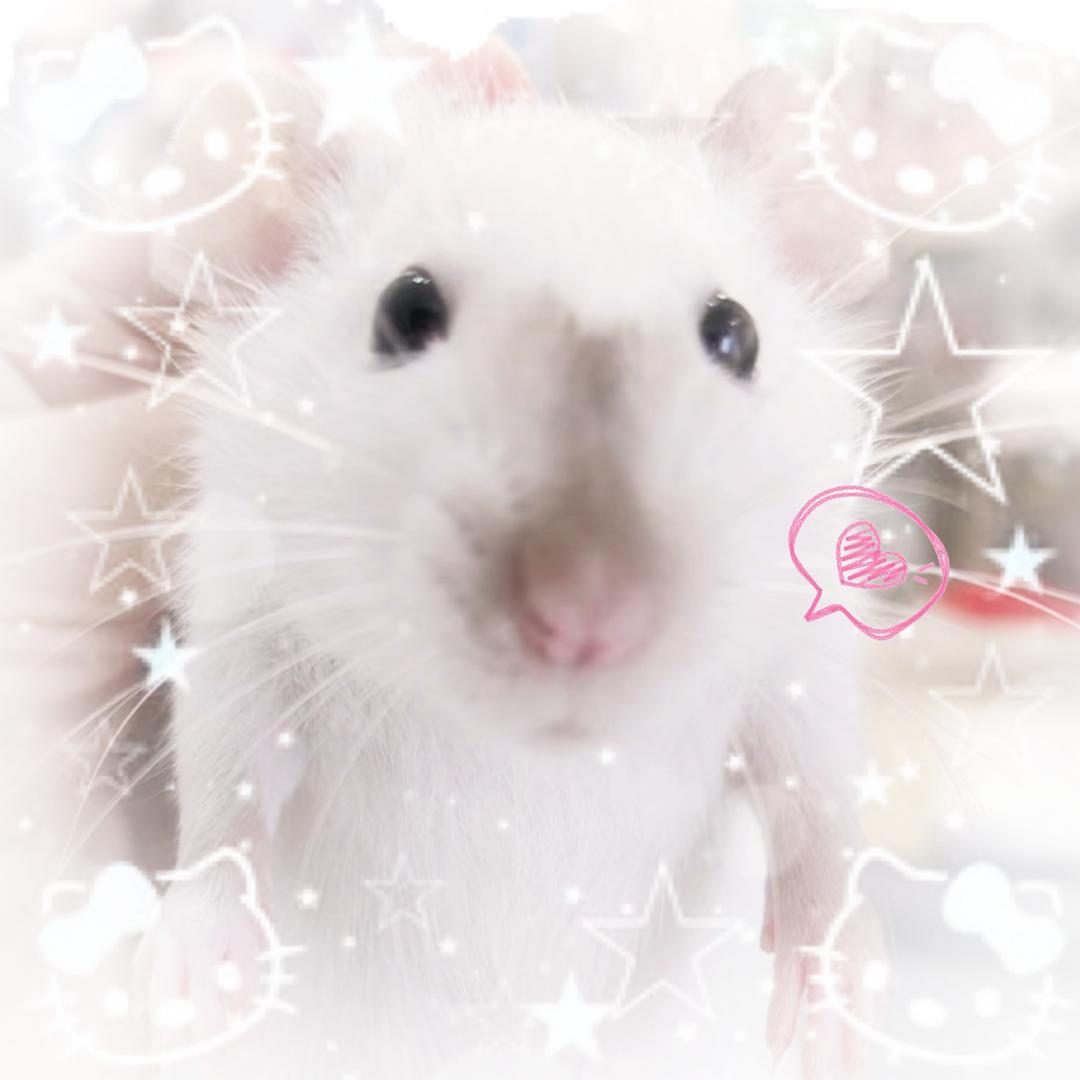 yuki