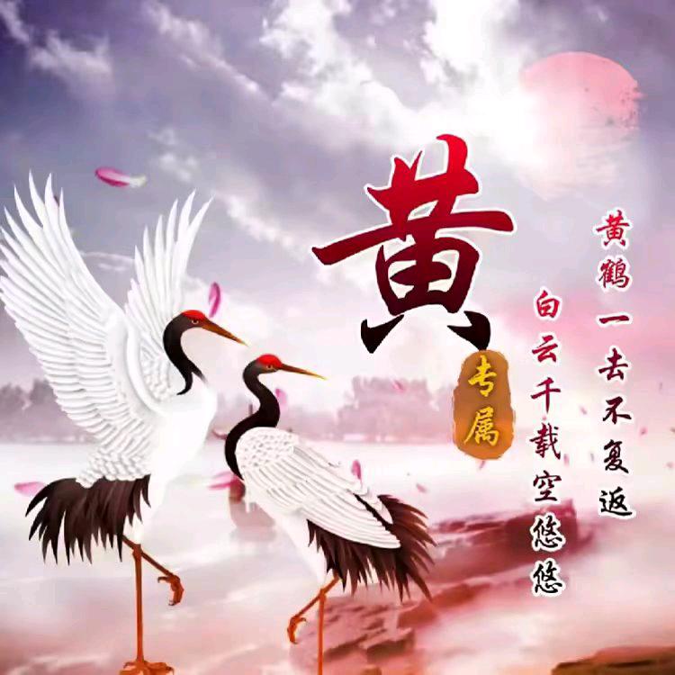 1314小阿妹