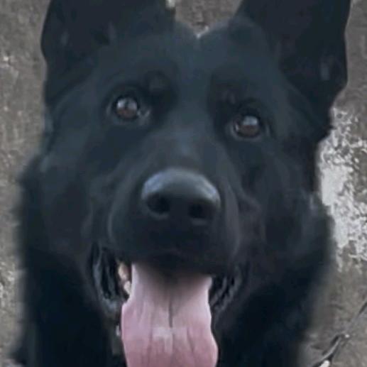 京承北—东德（DDR）