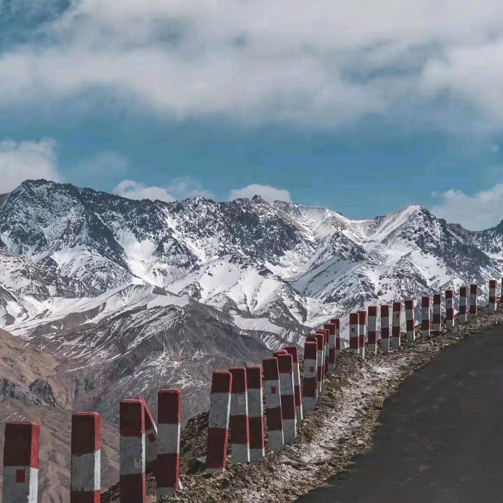 新疆美景全国发运