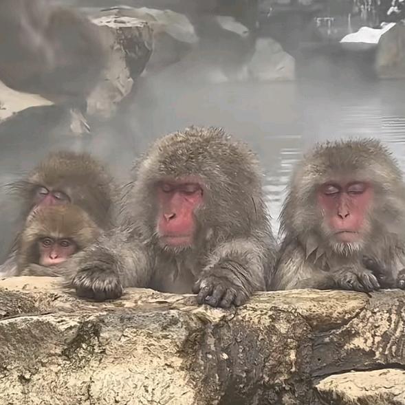 二十兄