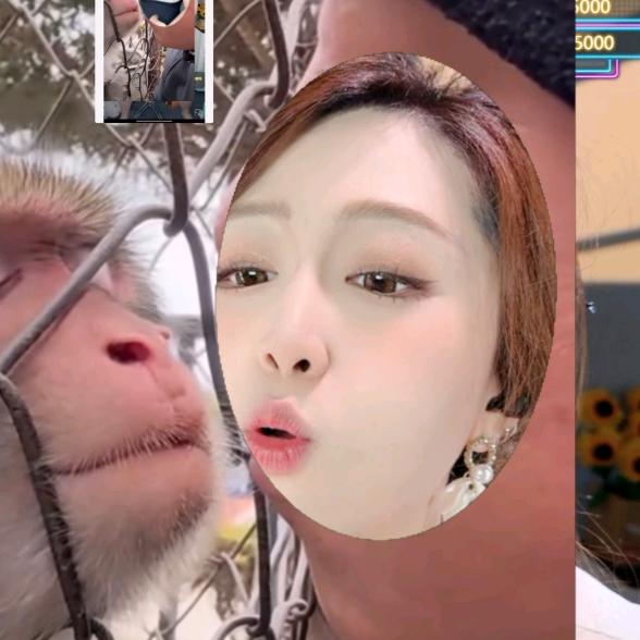 姜大臭脚爱纸鹤喜欢棒棒糖