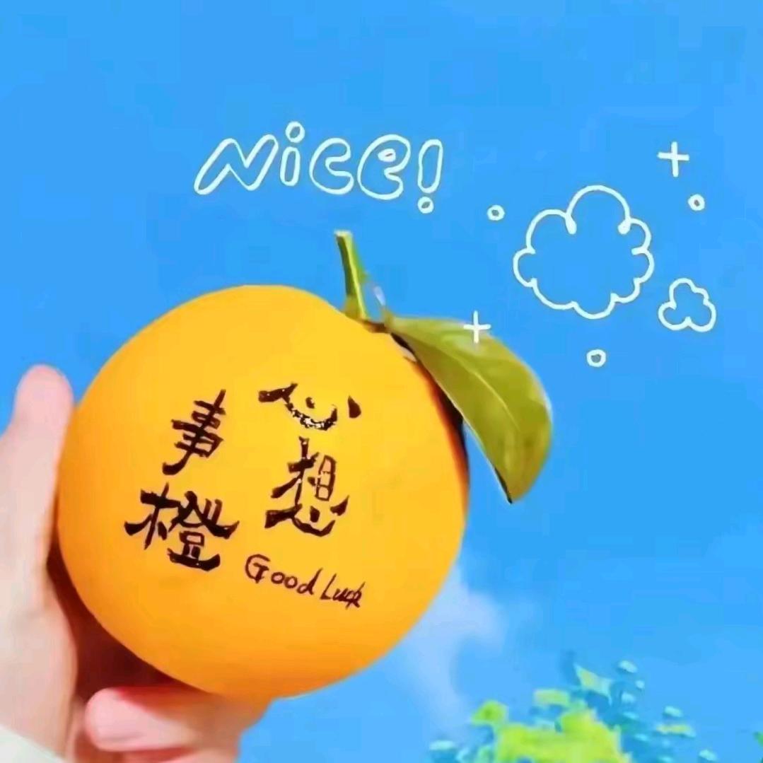 🌾$默悟&🍁（@原创）