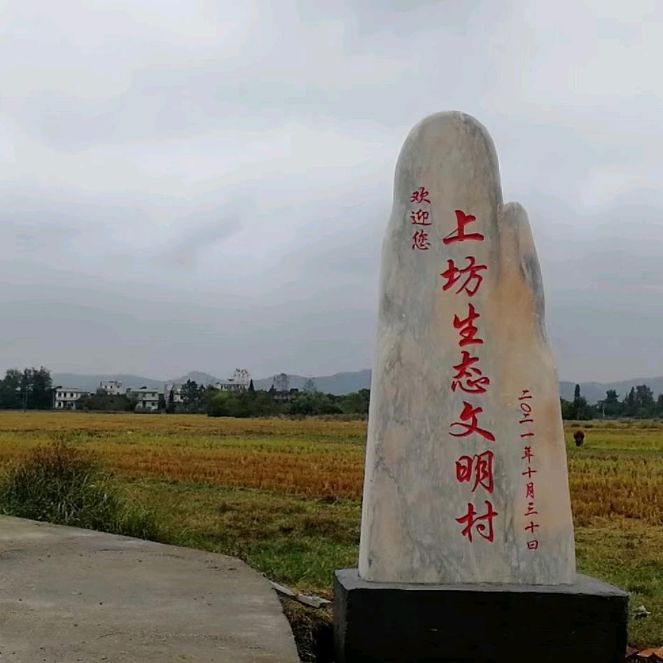 @平安健康才是福