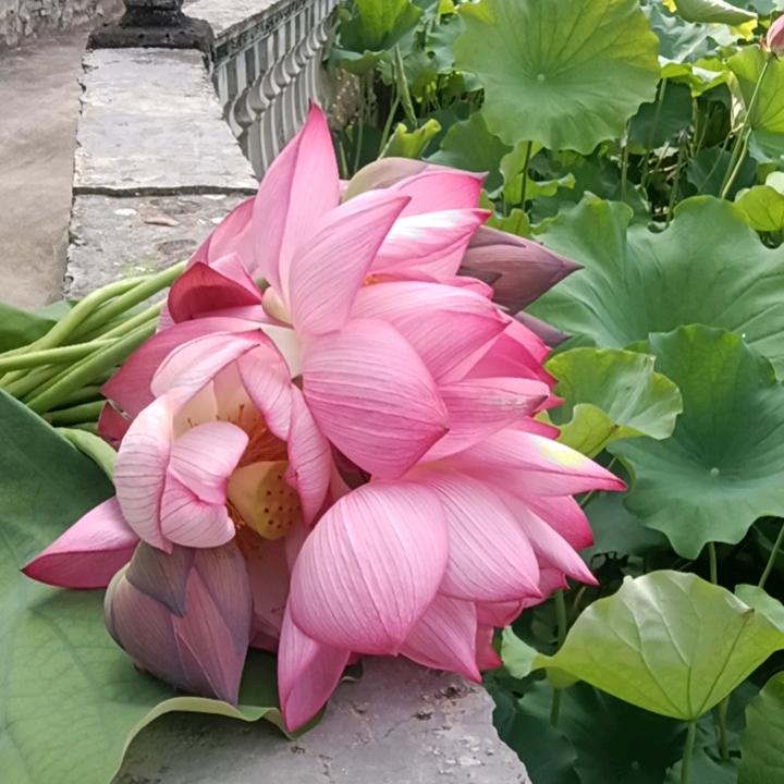 缘来幸福