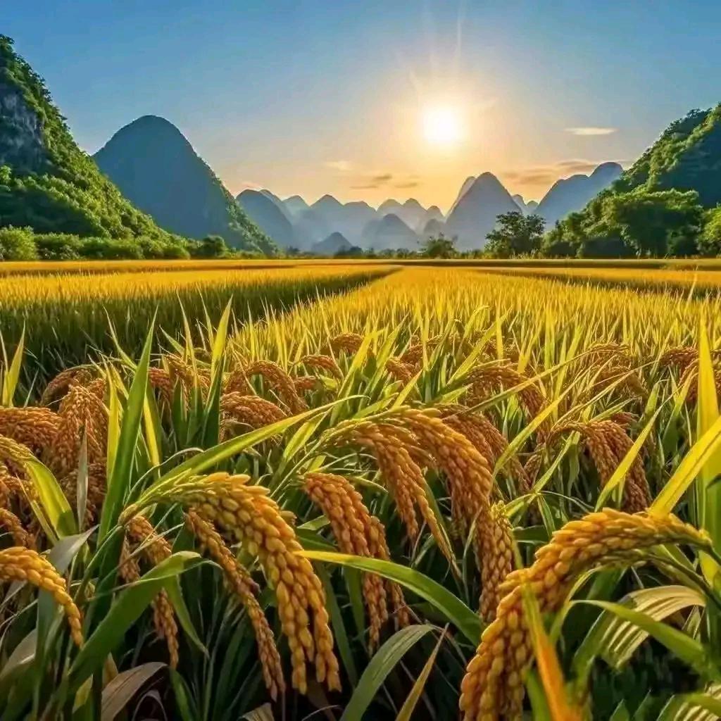 耳 不 聞