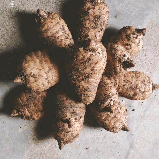 最熟悉的陌生人