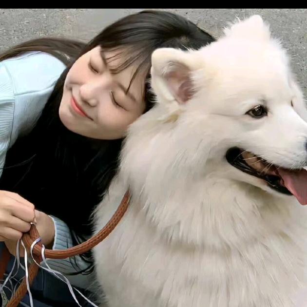 专业潮玩盲盒软件开发