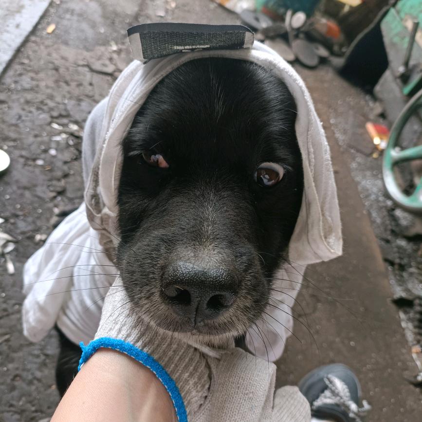 磨人精