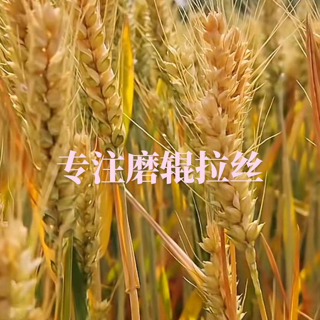 丹麦国际粮机二手面粉回收改造工艺