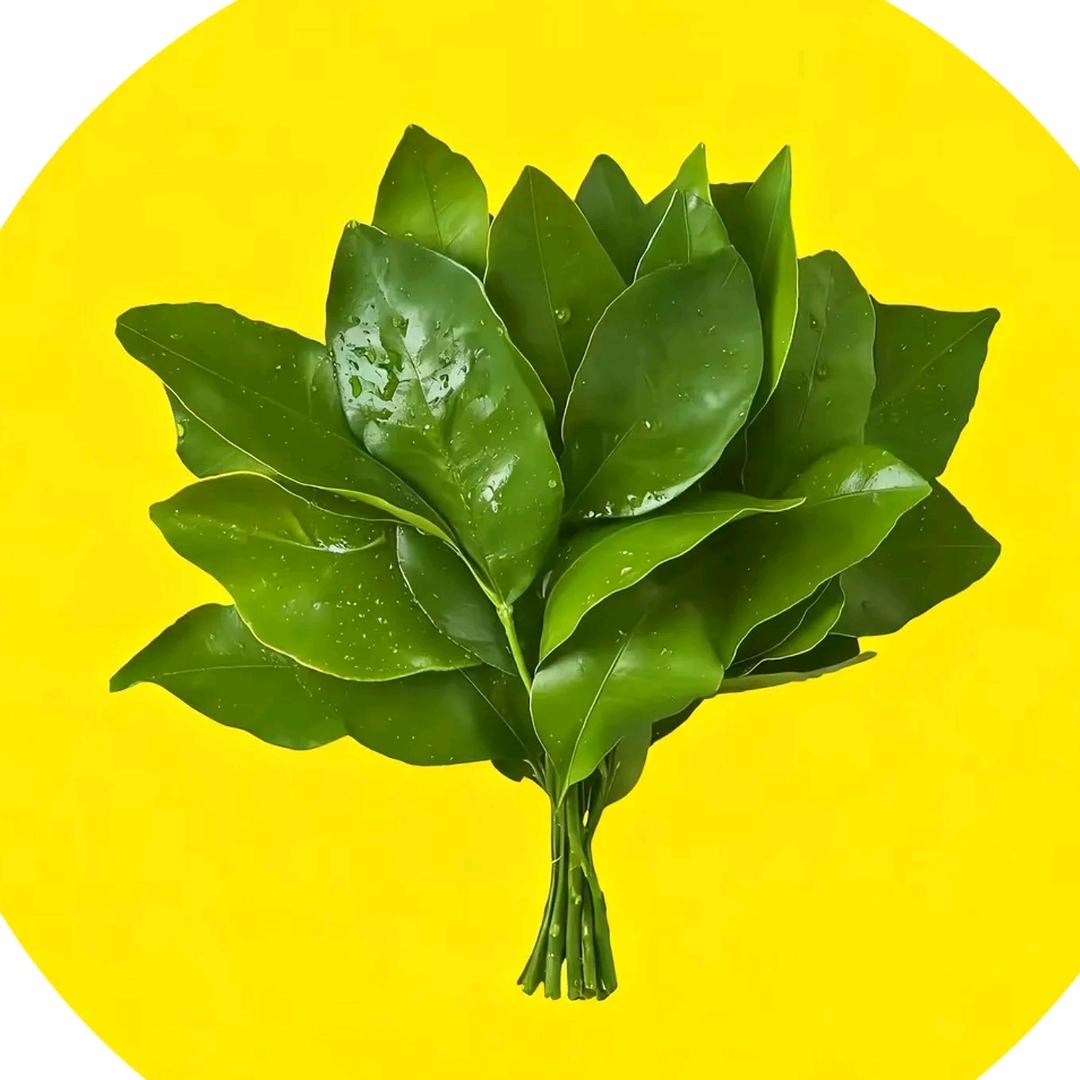 @平板随车吊-锦鲤