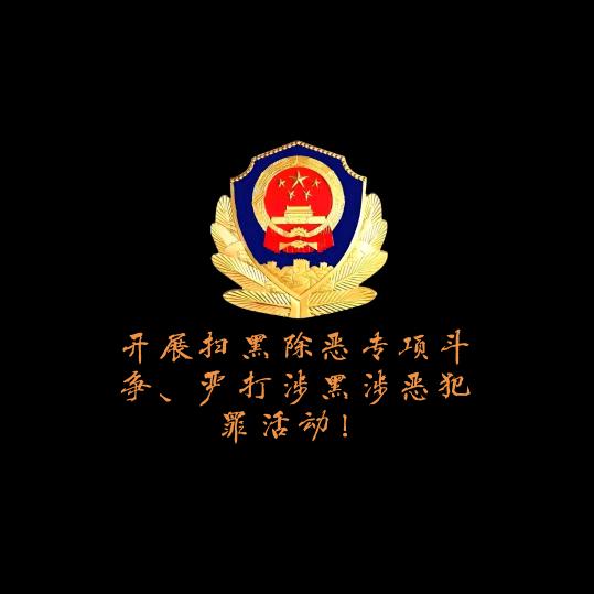 沐光而行²⁰²⁵