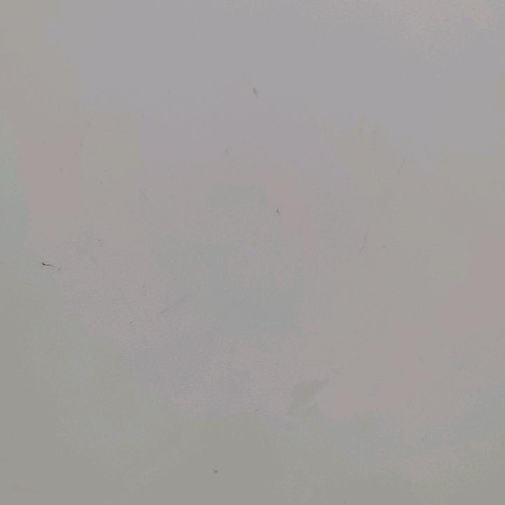 白马王子