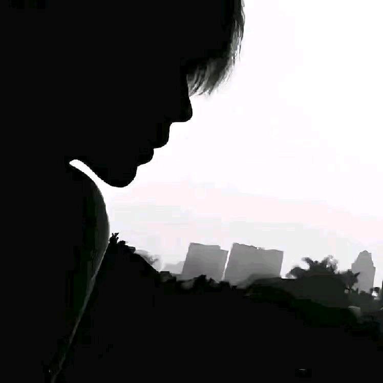 随风（回来了）