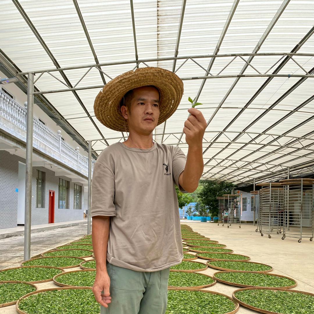 茶农小甘(首播20/28)