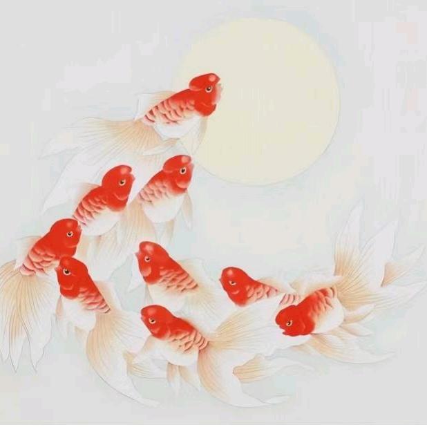 ღ᭄毛毛࿐