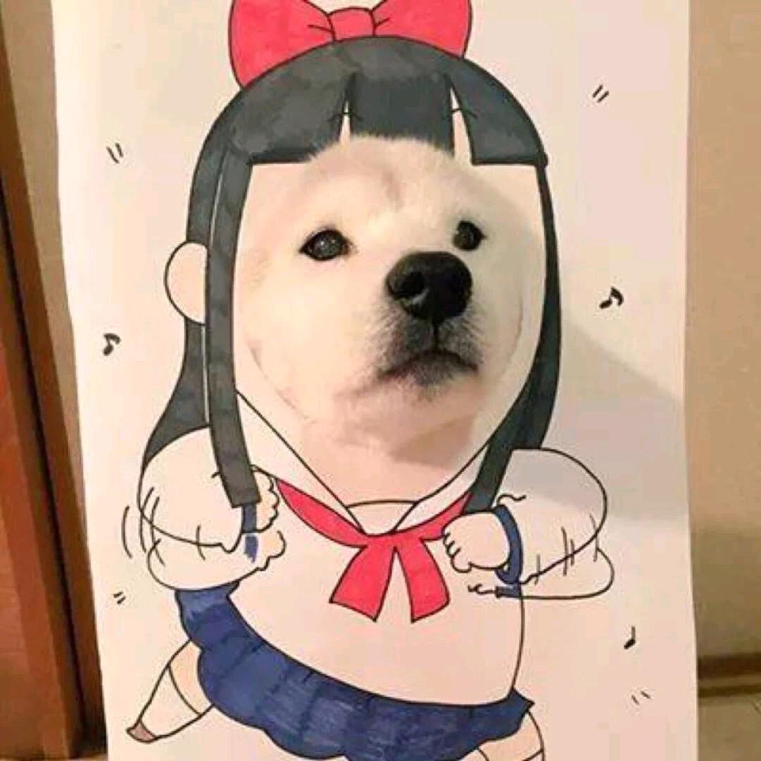 非我所愿